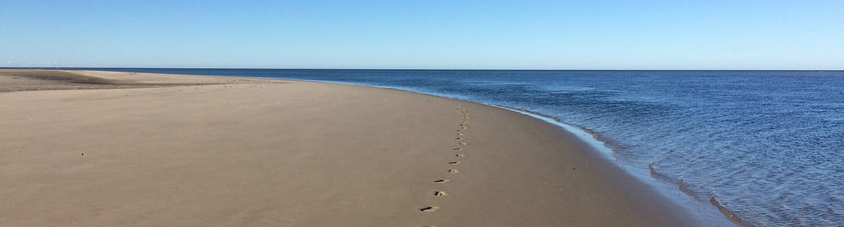 Footsteps on sand to symbolize traces and traceability and how it enhances system engineering workflows and minimizes errors