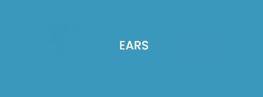 EARS – Easy Approach to Requirements Syntax: a practical approach