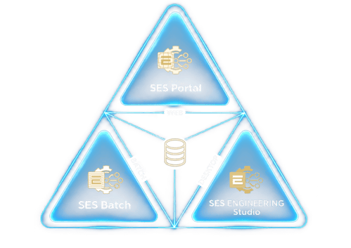 SES Portal Batch Desktop